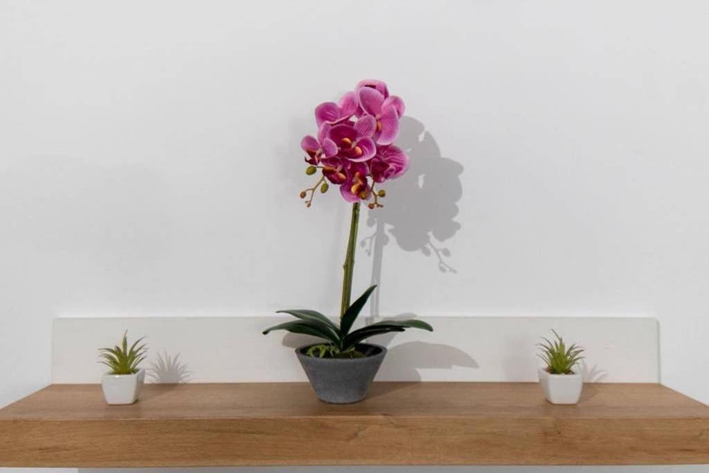 Brand New Aprt With Backyard In Lycabettus Hill ! Apartment Athena Bagian luar foto